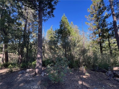 Lake Lot For Sale in Lake Arrowhead, California