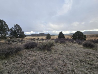 Sprague River Lot For Sale in Sprague River Oregon