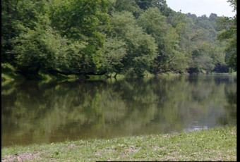 Barren River Lake Real Estate Lucas Kentucky Lot - photo 2