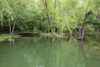 Smith Lake (Pigeon Roost Creek) An unbelievable opportunity to - photo 11