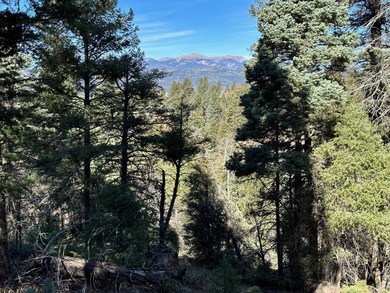 Monte Verde Lake Lot For Sale in Angel Fire New Mexico