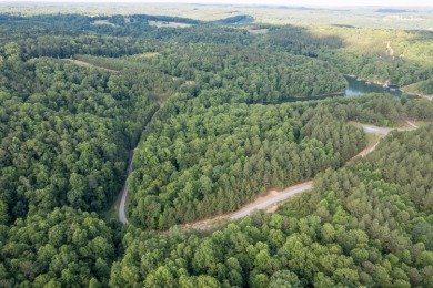 Smith Lake (Pigeon Roost Creek) An unbelievable opportunity to - photo 32