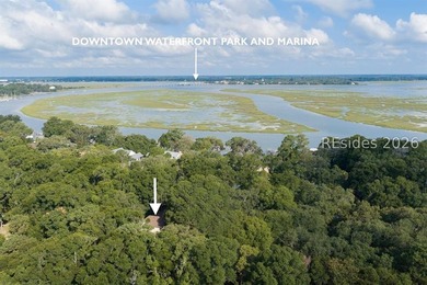 Located on Lady's Island, this two story home has a traditional - photo 3