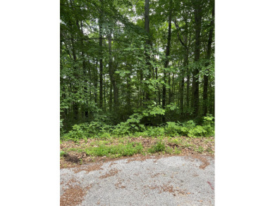 Looking for wooded building lots near boat ramp on Beaver Creek? - Lake Acreage For Sale in Monticello, Kentucky