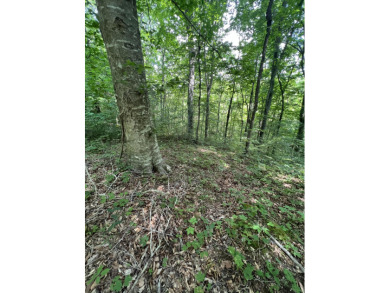 Looking for a wooded building lot near boat ramp on Beaver - Lake Lot For Sale in Monticello, Kentucky