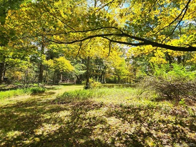 Private Smallwood Oasis! This three bedroom, one full and one - photo 27