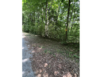 Looking for a wooded building lot near boat ramp on Beaver - Lake Lot For Sale in Monticello, Kentucky