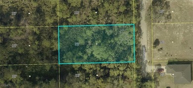 Lehigh Acres Area Lot Sale Pending in Alva Florida