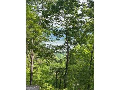 Lake Acreage For Sale in Ranger, Georgia
