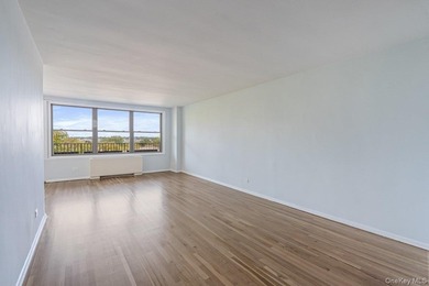 Beautiful 2 bedroom/ 2 bathroom coop with terrace. Brand new - photo 9
