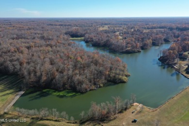 (private lake, pond, creek) Acreage For Sale in Lake Cormorant Mississippi
