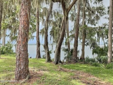 Lake Lot For Sale in Welaka, Florida