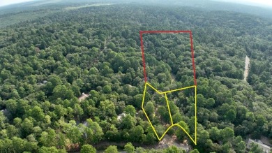 Lake Lot For Sale in Holly Lake Ranch, Texas