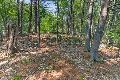 Are you tired of looking at overpriced homes that need work and - photo 12