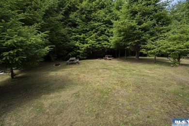 An incredible opportunity to own The Lost Resort, a rustic - photo 15