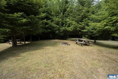 An incredible opportunity to own The Lost Resort, a rustic - photo 16