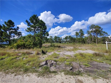 Lehigh Acres Area Lot For Sale in Lehigh Acres Florida