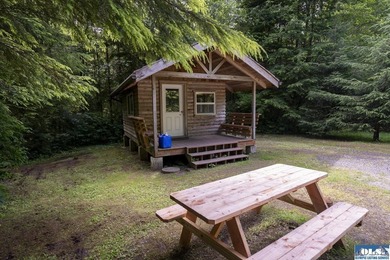 An incredible opportunity to own The Lost Resort, a rustic - photo 21
