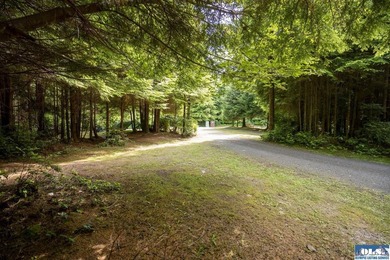 An incredible opportunity to own The Lost Resort, a rustic - photo 25