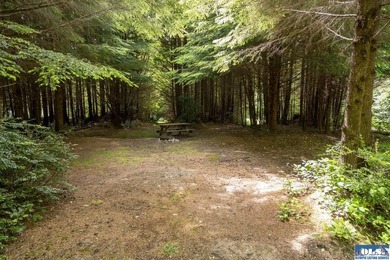 An incredible opportunity to own The Lost Resort, a rustic - photo 26