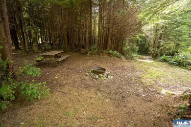 An incredible opportunity to own The Lost Resort, a rustic - photo 28