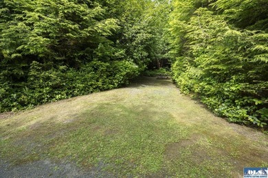 An incredible opportunity to own The Lost Resort, a rustic - photo 29