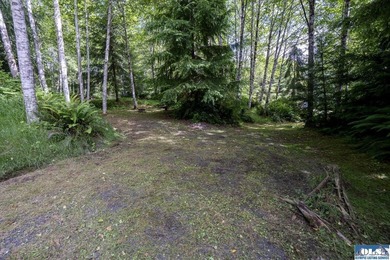 An incredible opportunity to own The Lost Resort, a rustic - photo 35