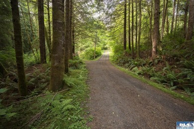 An incredible opportunity to own The Lost Resort, a rustic - photo 36