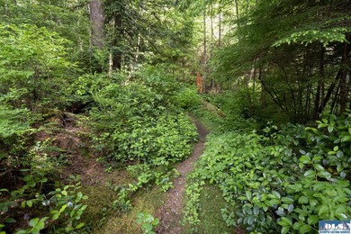 An incredible opportunity to own The Lost Resort, a rustic - photo 38
