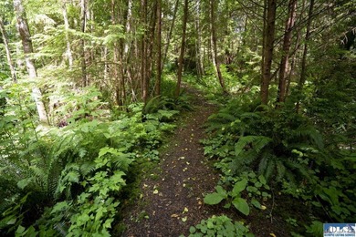 An incredible opportunity to own The Lost Resort, a rustic - photo 39