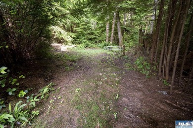 An incredible opportunity to own The Lost Resort, a rustic - photo 40