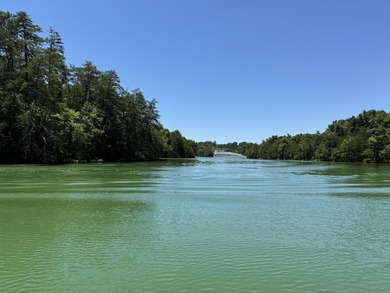 Go off the grid with YOUR OWN PRIVATE ISLAND on beautiful - photo 3