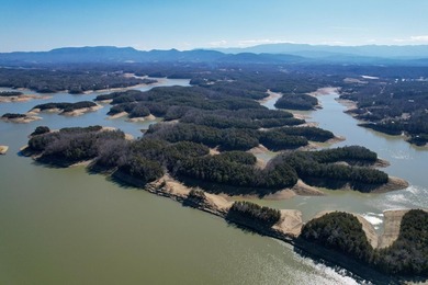 Go off the grid with YOUR OWN PRIVATE ISLAND on beautiful - photo 7