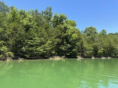 Go off the grid with YOUR OWN PRIVATE ISLAND on beautiful - photo 10