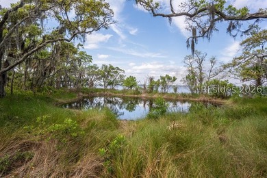 Discover an exceptional waterfront homesite on the Coosaw River - photo 8