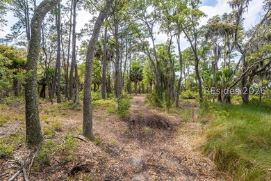 Discover an exceptional waterfront homesite on the Coosaw River - photo 9