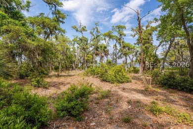 Discover an exceptional waterfront homesite on the Coosaw River - photo 10