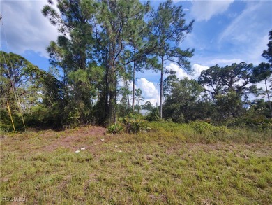 Lehigh Acres Area Lot For Sale in Lehigh Acres Florida