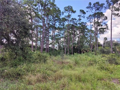 Lehigh Acres Area Lot For Sale in Lehigh Acres Florida
