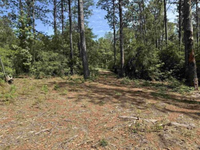 Lake Sam Rayburn  Lot For Sale in Brookeland Texas