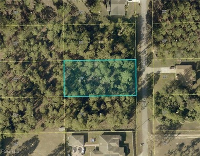 Lehigh Acres Area Lot For Sale in Lehigh Acres Florida