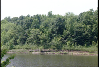 Barren River Lake Lot For Sale in Scottsville Kentucky