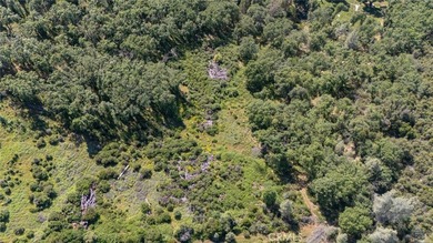 13520 Point Lakeview - photo 4