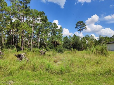 Lehigh Acres Area Lot For Sale in Alva Florida