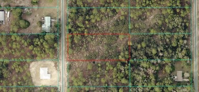 Bonable Lake Lot For Sale in Dunnellon Florida