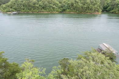 Smith Lake (Main Channel) A spectacular lot near Duncan Bridge - photo 15