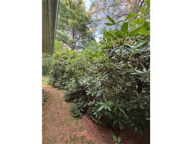 Country Home with Peaceful Outdoor Living set on 10.61 wooded - photo 16