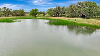 Rare opportunity to own open pasture & wooded ranchland w/ - photo 20