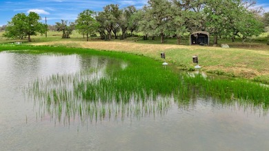 Rare opportunity to own open pasture & wooded ranchland w/ - photo 21