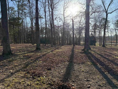 (private lake, pond, creek) Acreage For Sale in Mena Arkansas